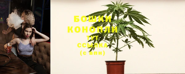 спиды Бородино