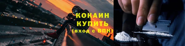 спиды Бородино