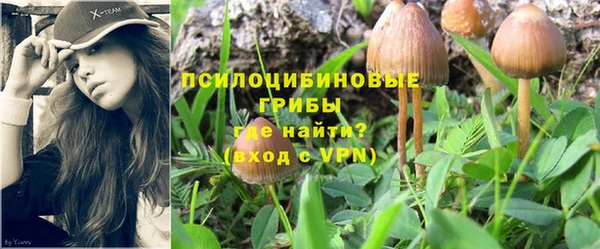 спиды Бородино