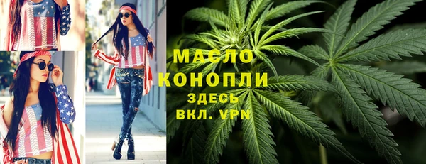 спиды Бородино