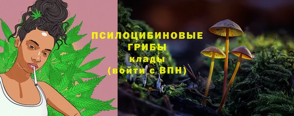 дживик Бугульма
