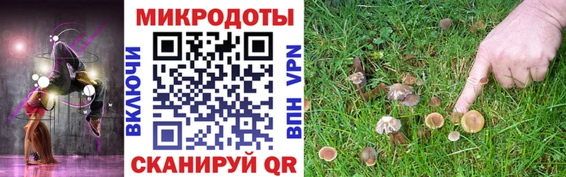 Галлюциногенные грибы прущие грибы  Ессентукская 