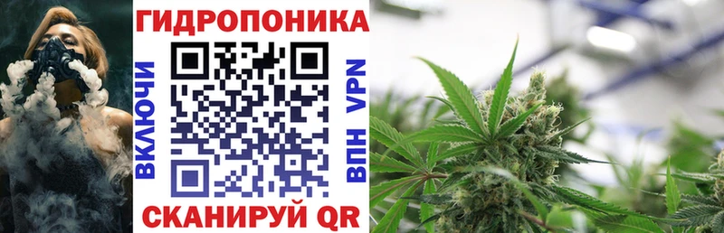 Каннабис марихуана наркотики Ессентукская